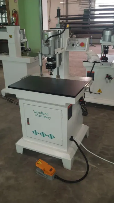 Daugiavelenės gręžimo staklės WOODLAND MACHINERY